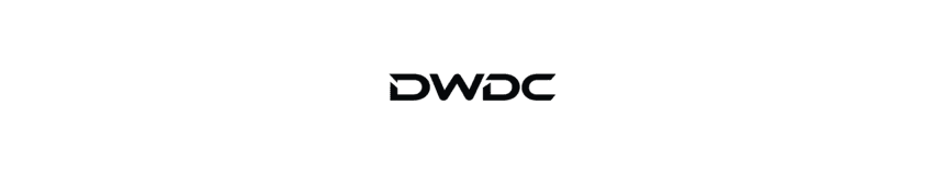 Delhi Web Design Company (DWDC)